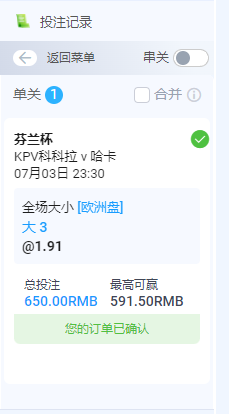 芬兰杯大球.png