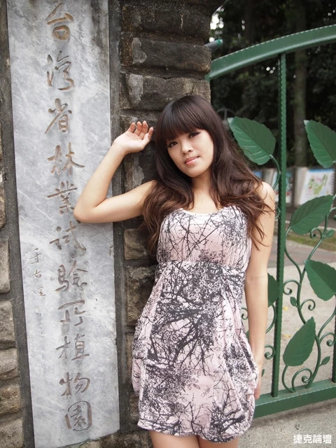 17269011.webp