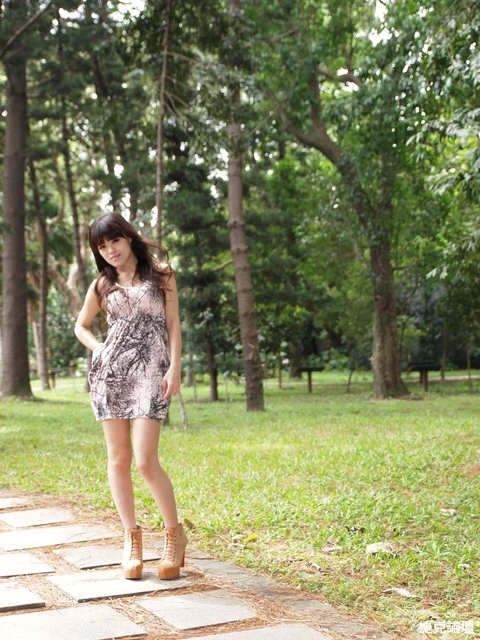 17269019.webp