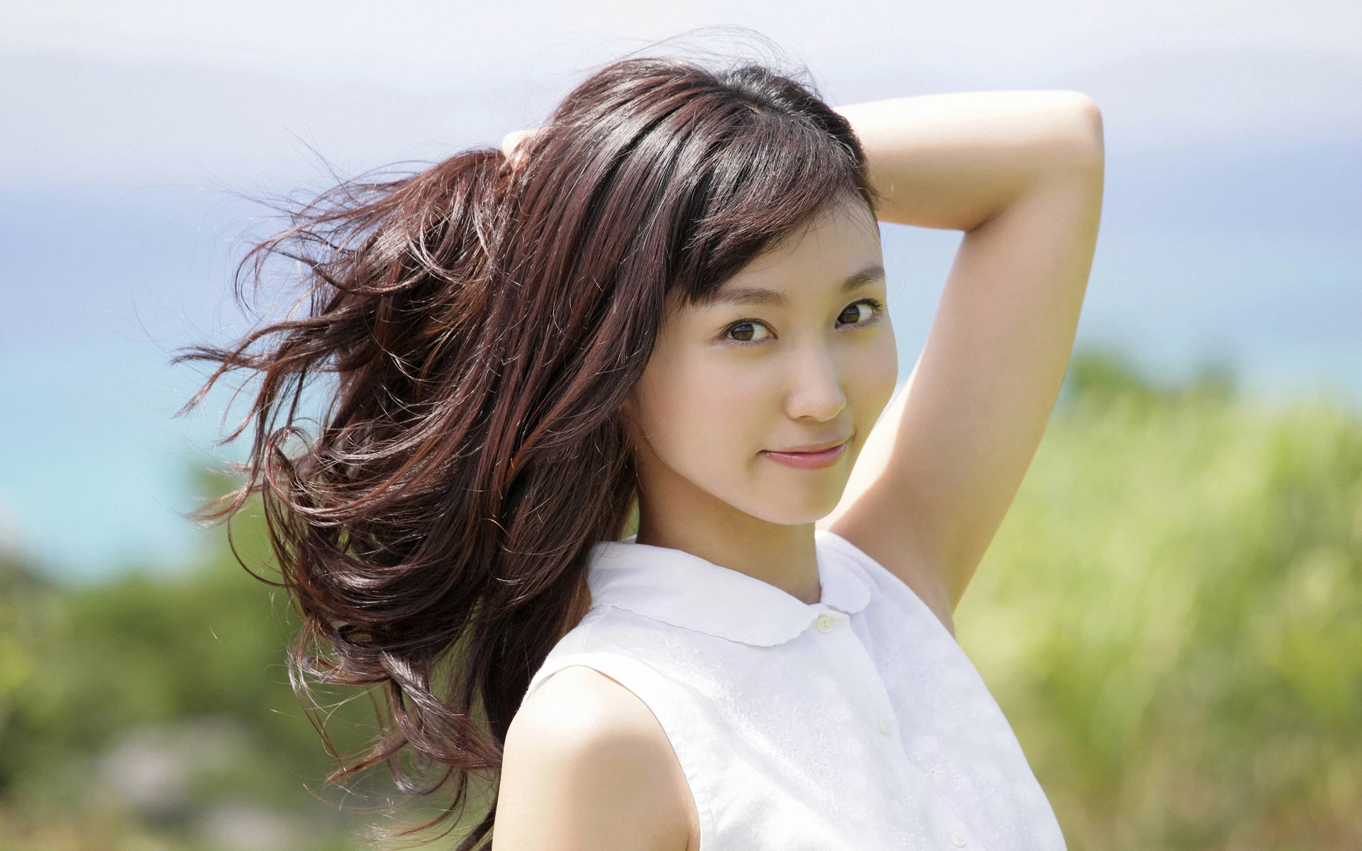 17393034.webp