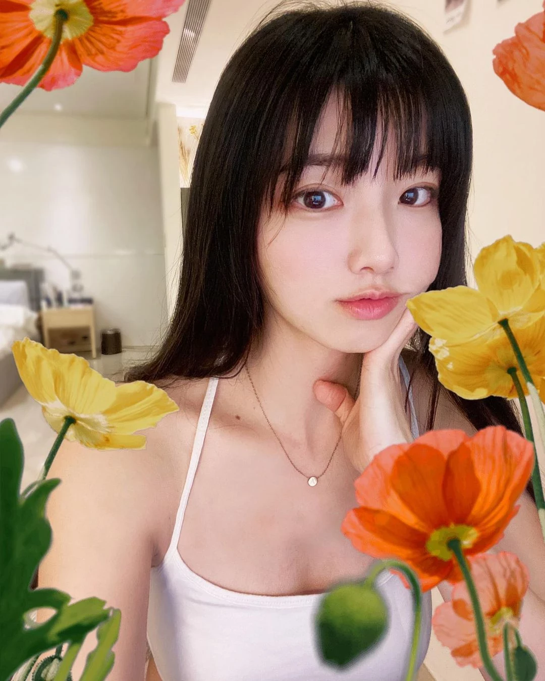 18404402.webp