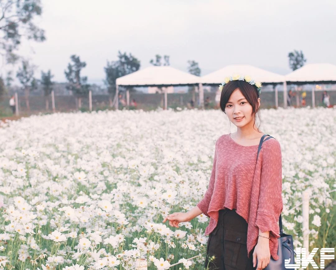 4990174.webp