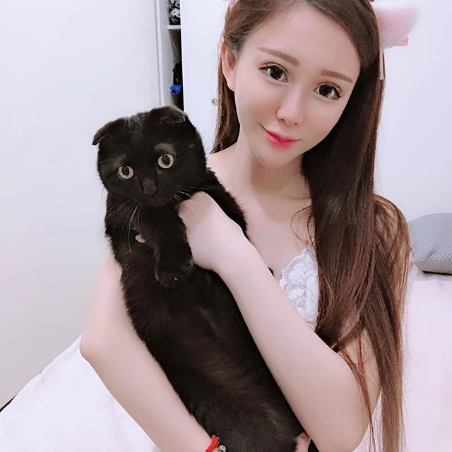 4123833.webp