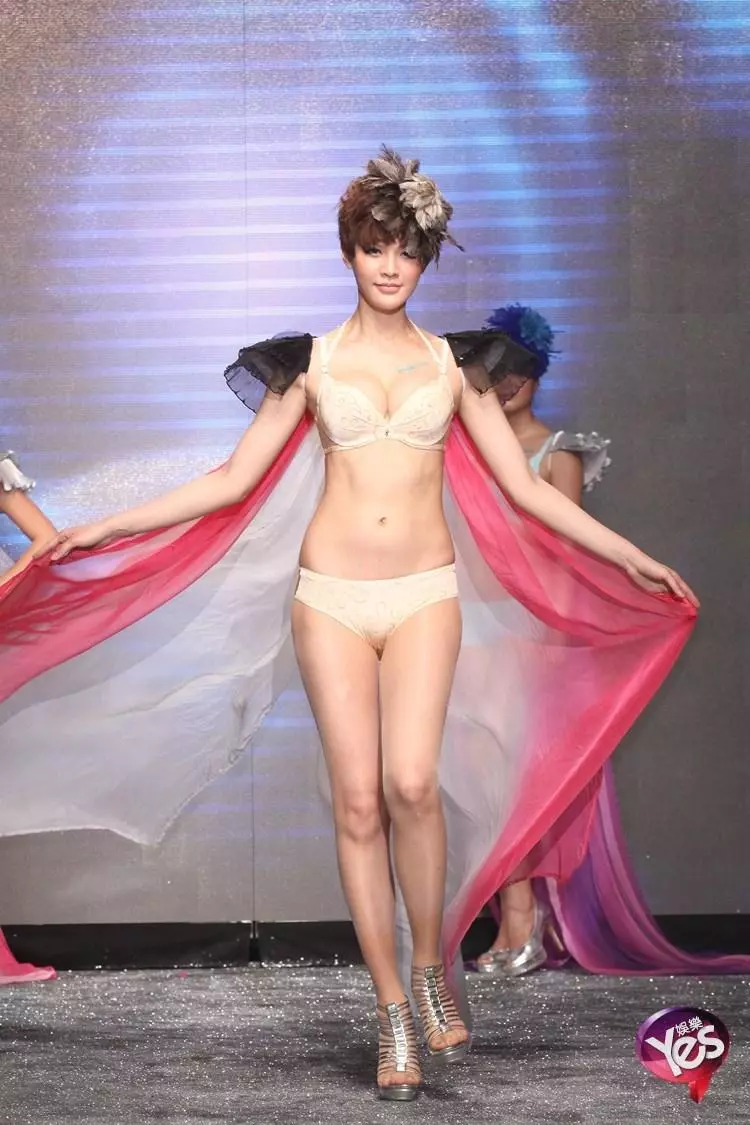 16994315.webp