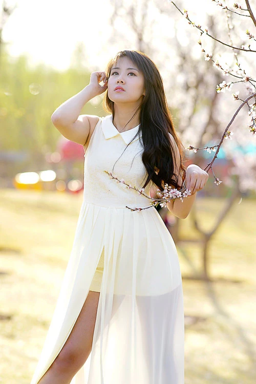 17178776.webp