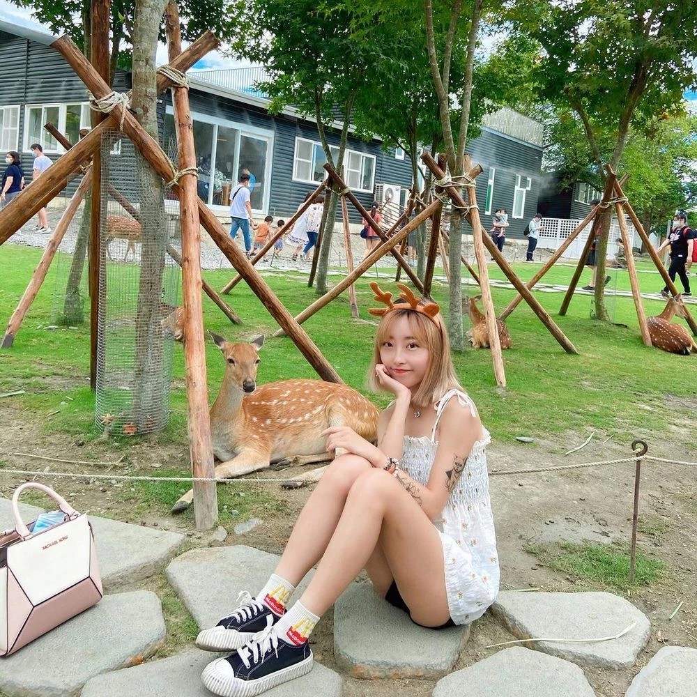 130454tol3aeelnaazeee3.webp