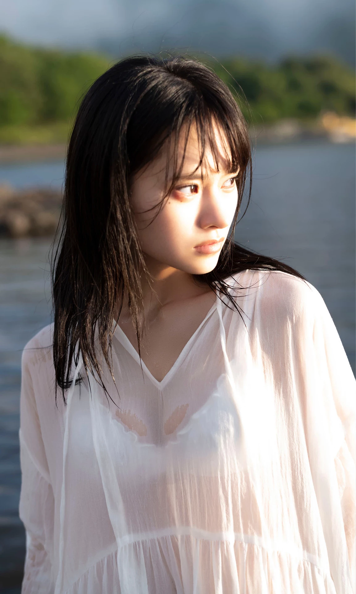 29764101.webp
