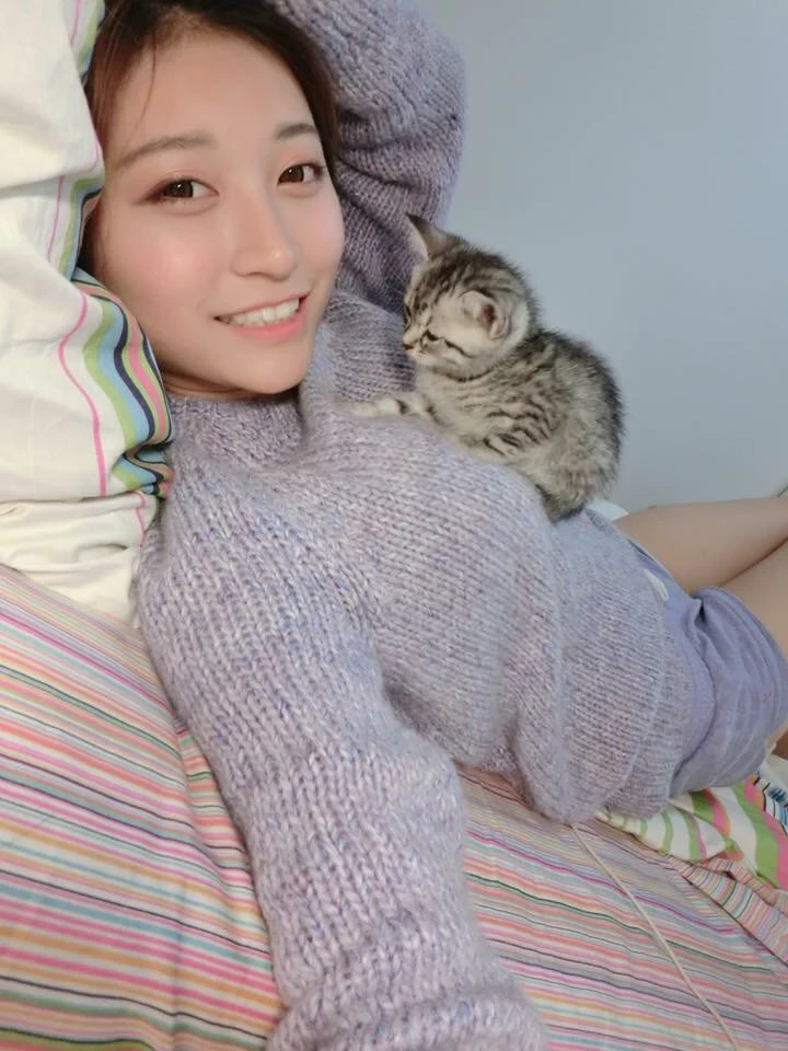 16801231.webp