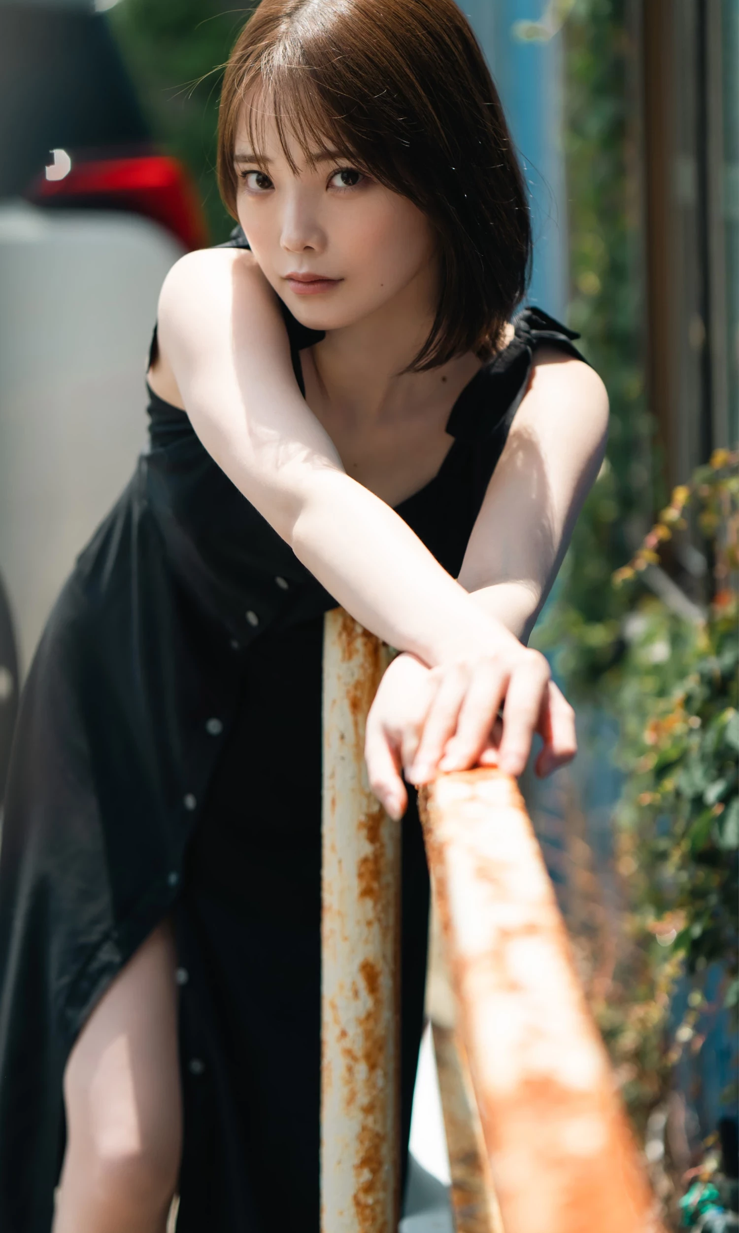 29558117.webp