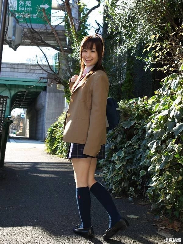 17702044.webp