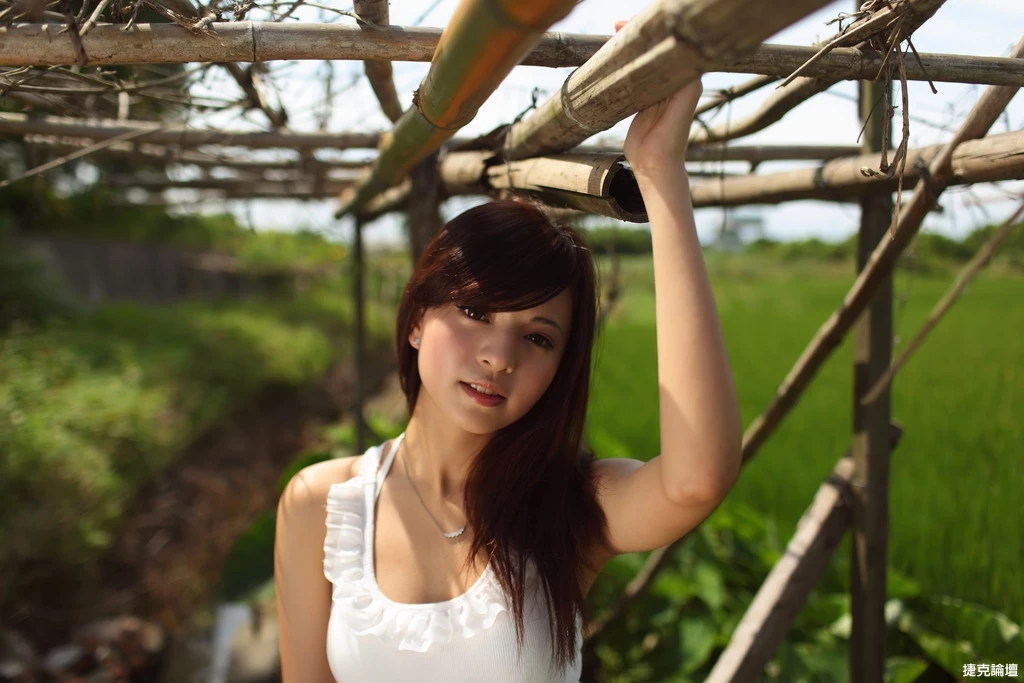 17530461.webp