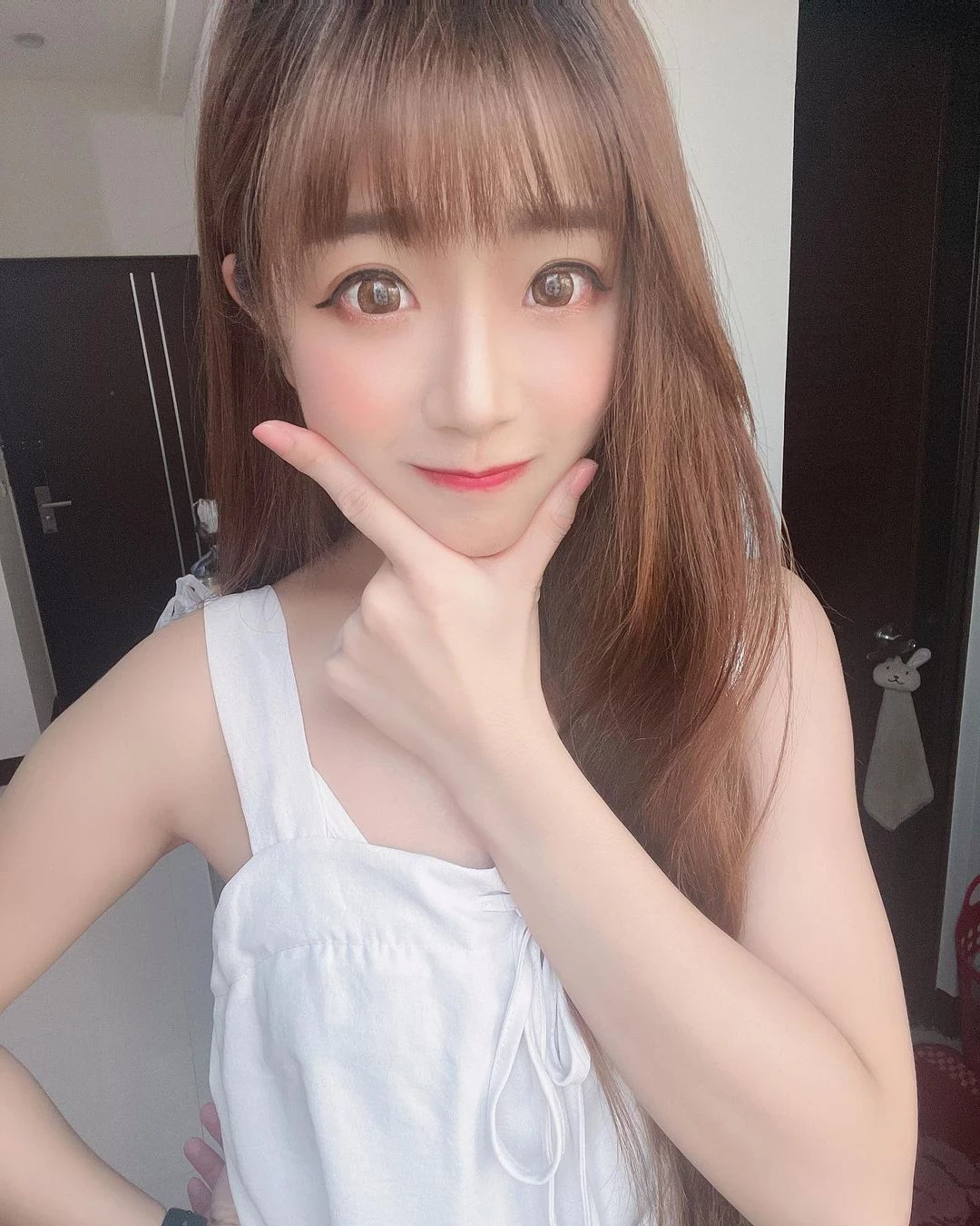 18285779.webp