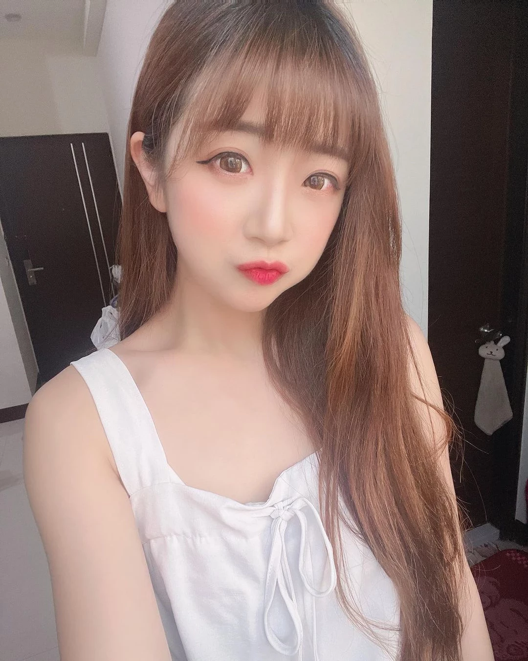 18285782.webp