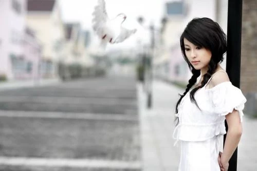 17637312.webp