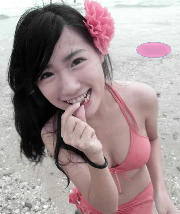 16778913.webp