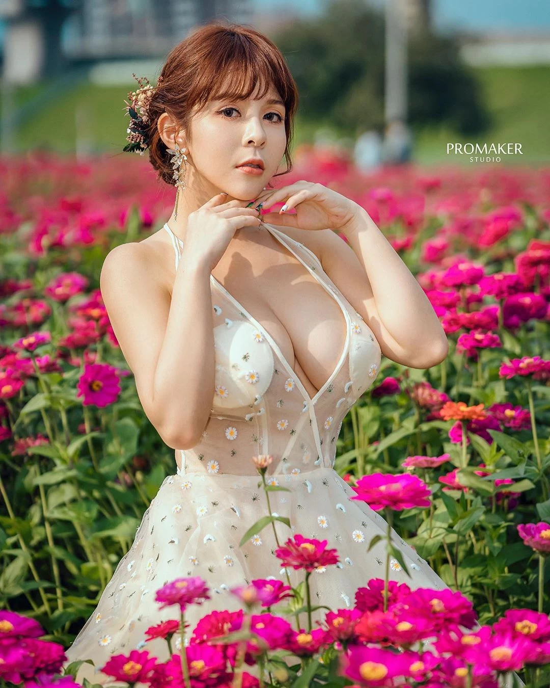 3912696.webp