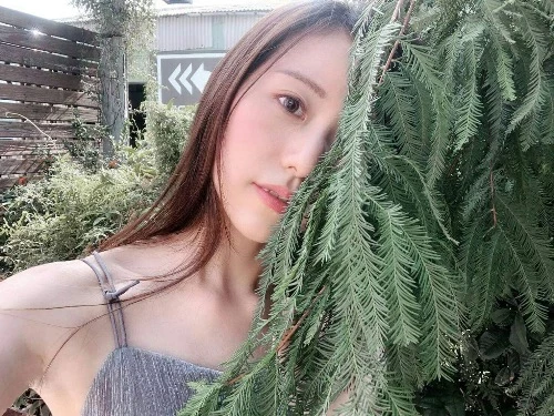 4179300.webp
