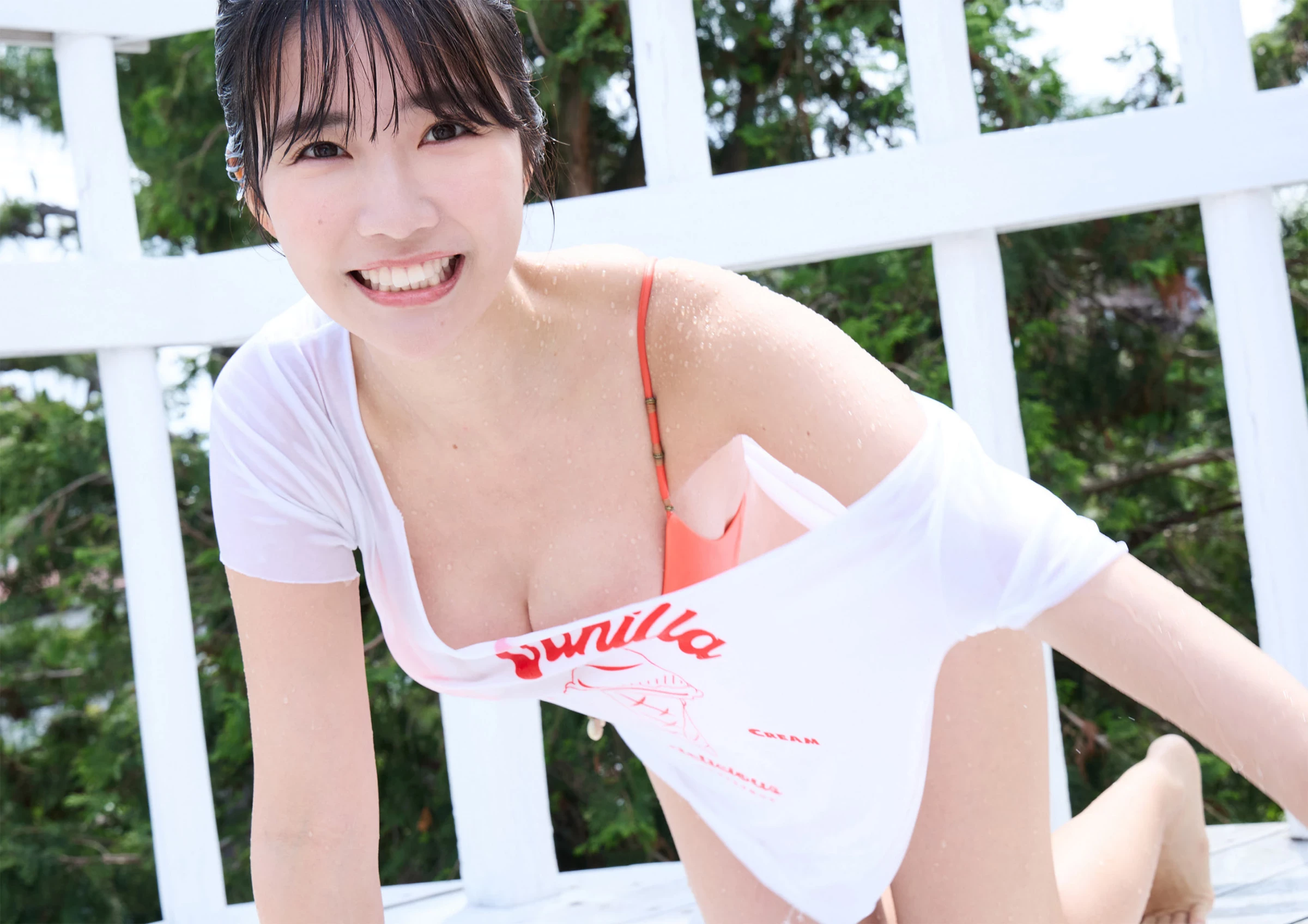31343095.webp