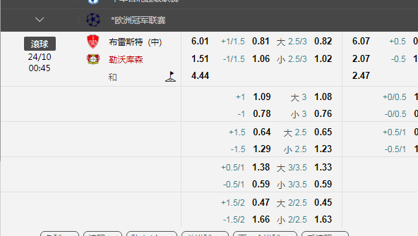 勒沃库森.png