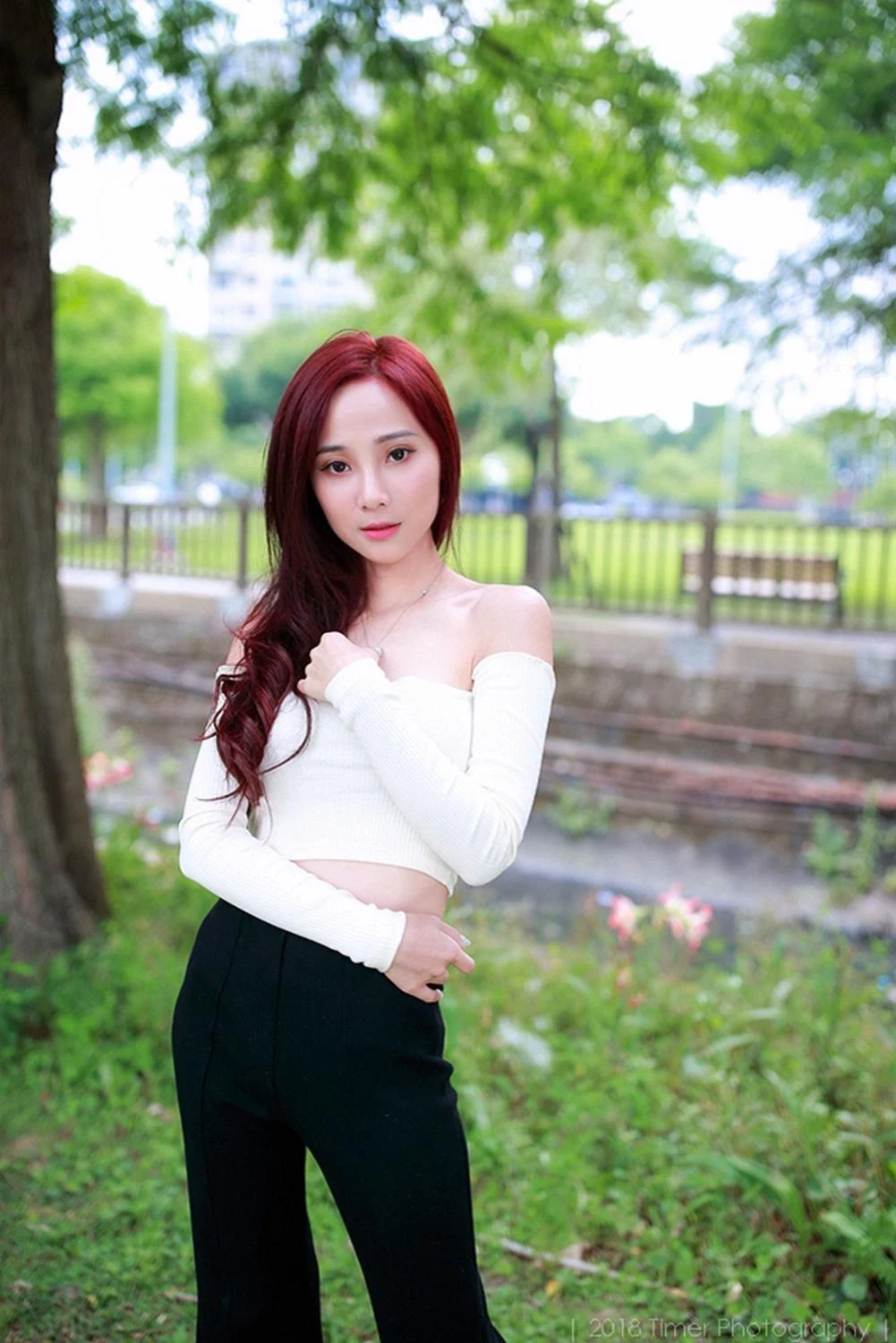4331175.webp