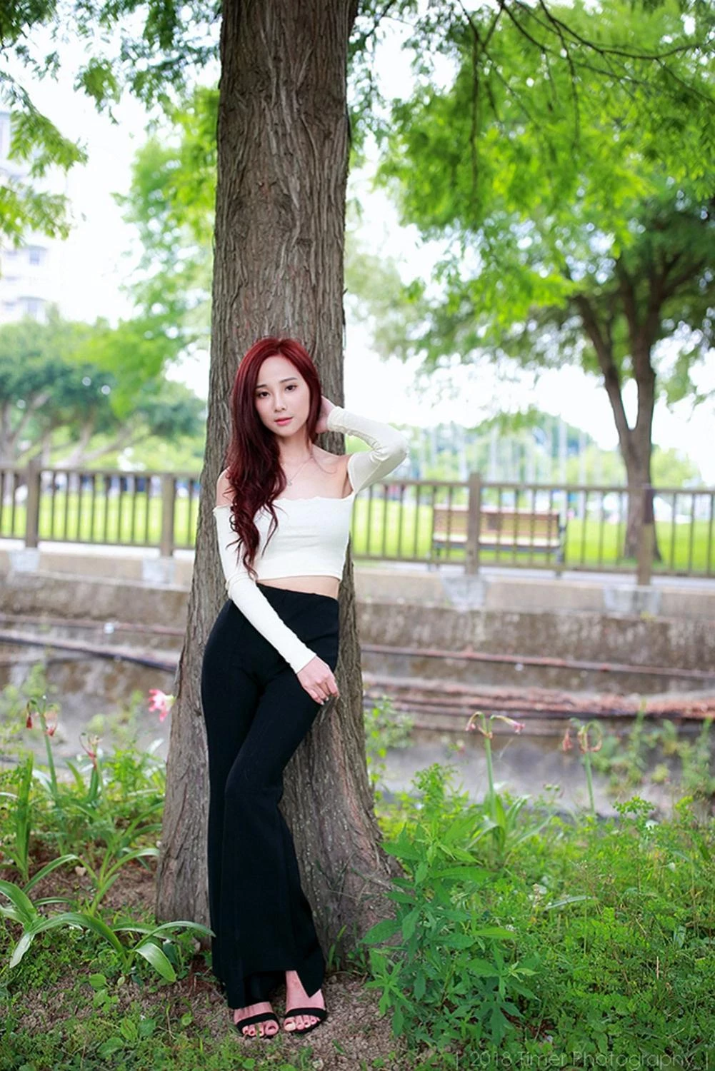 4331179.webp