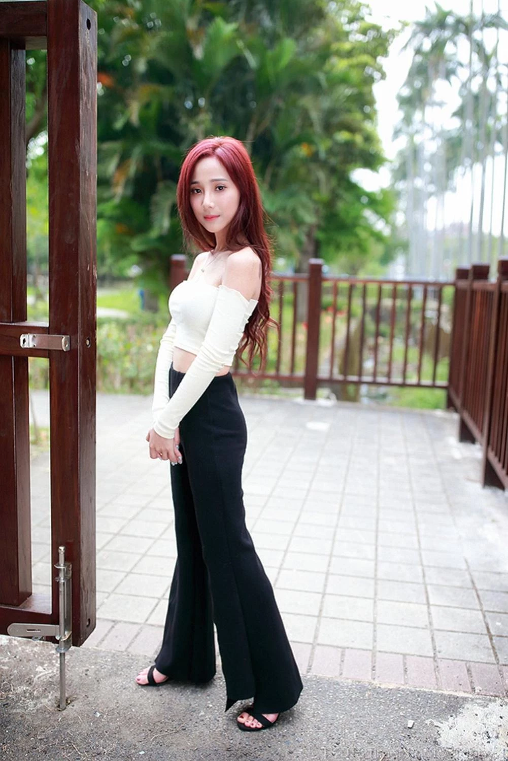 4331188.webp