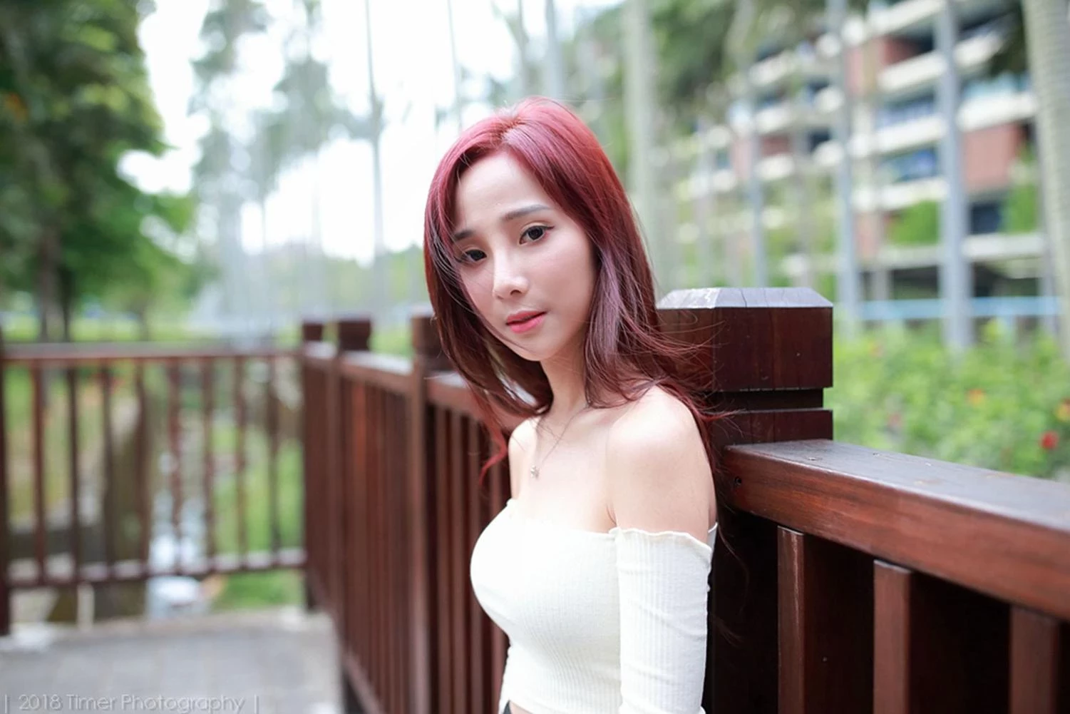 4331189.webp