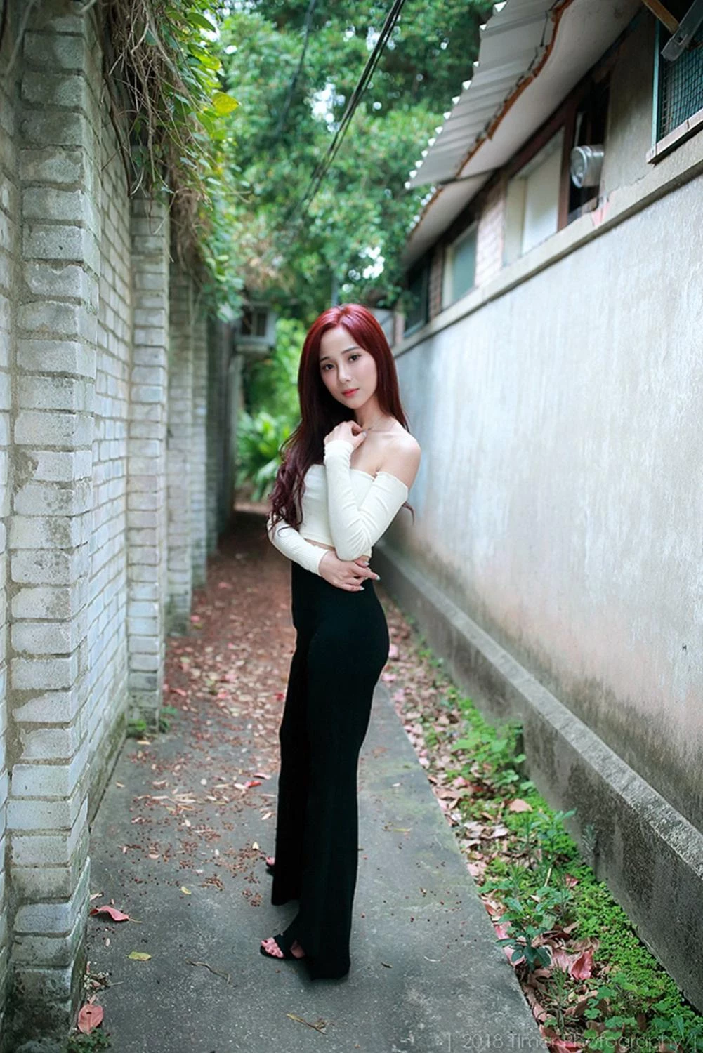 4331200.webp
