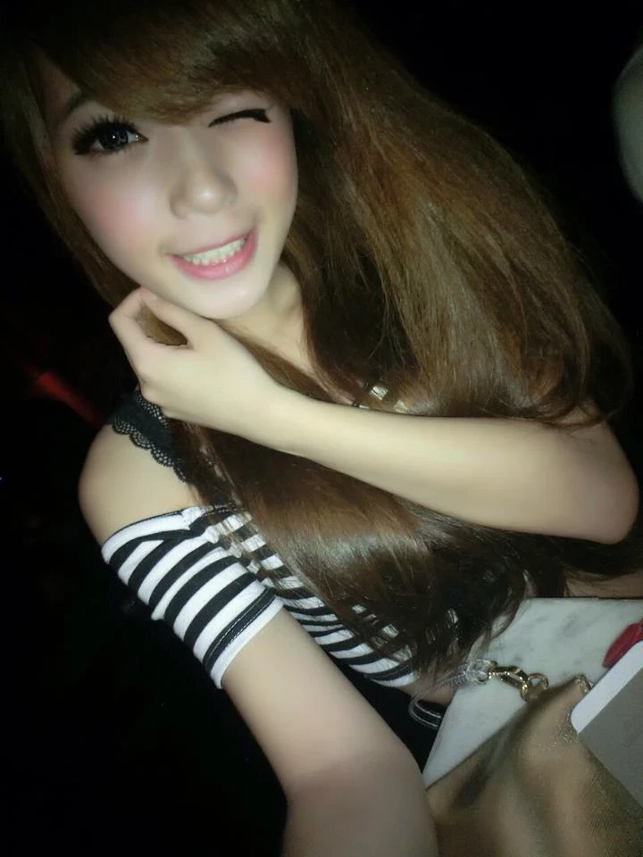 16923253.webp