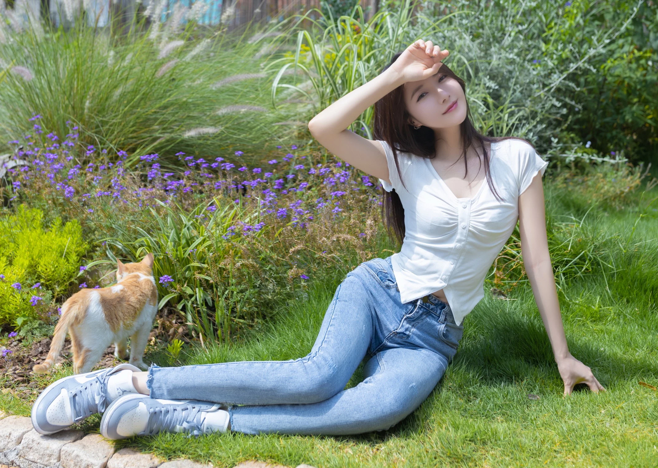 29353210.webp