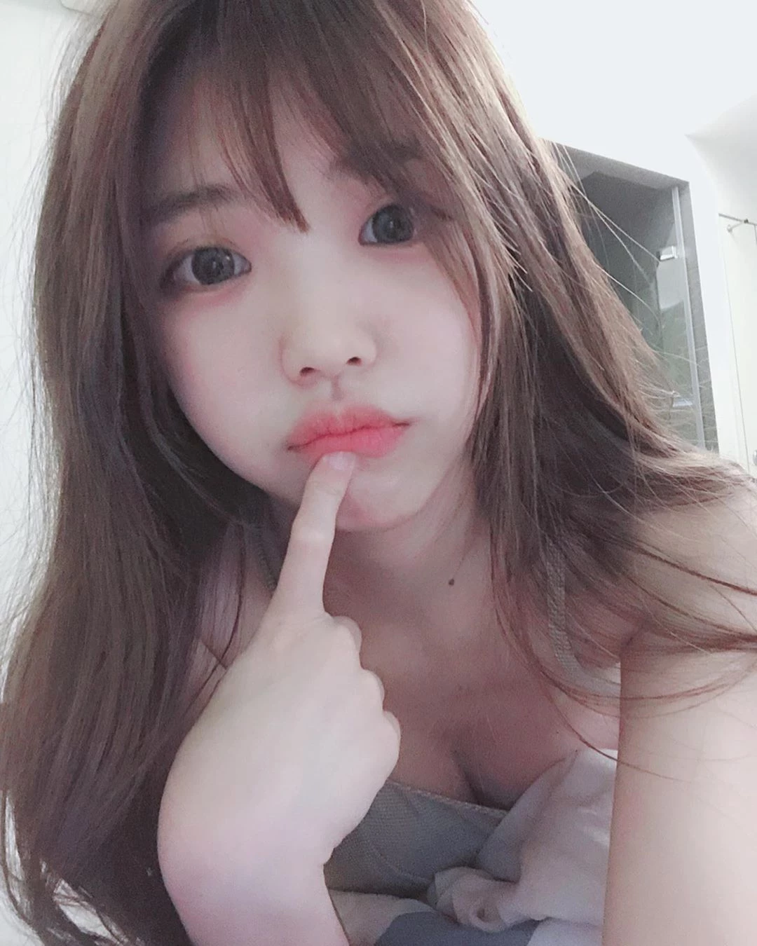 3942405.webp