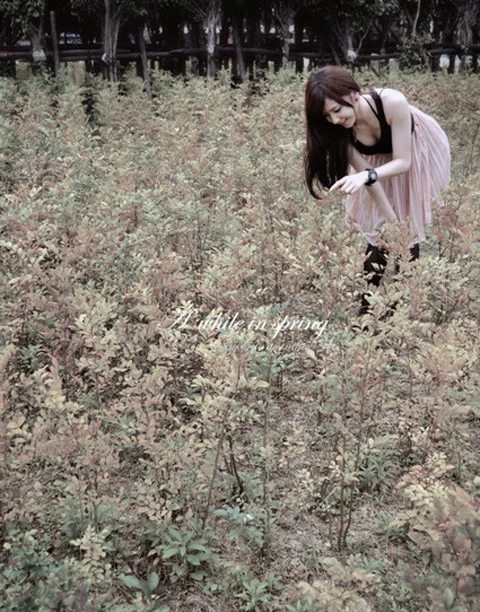 17290877.webp