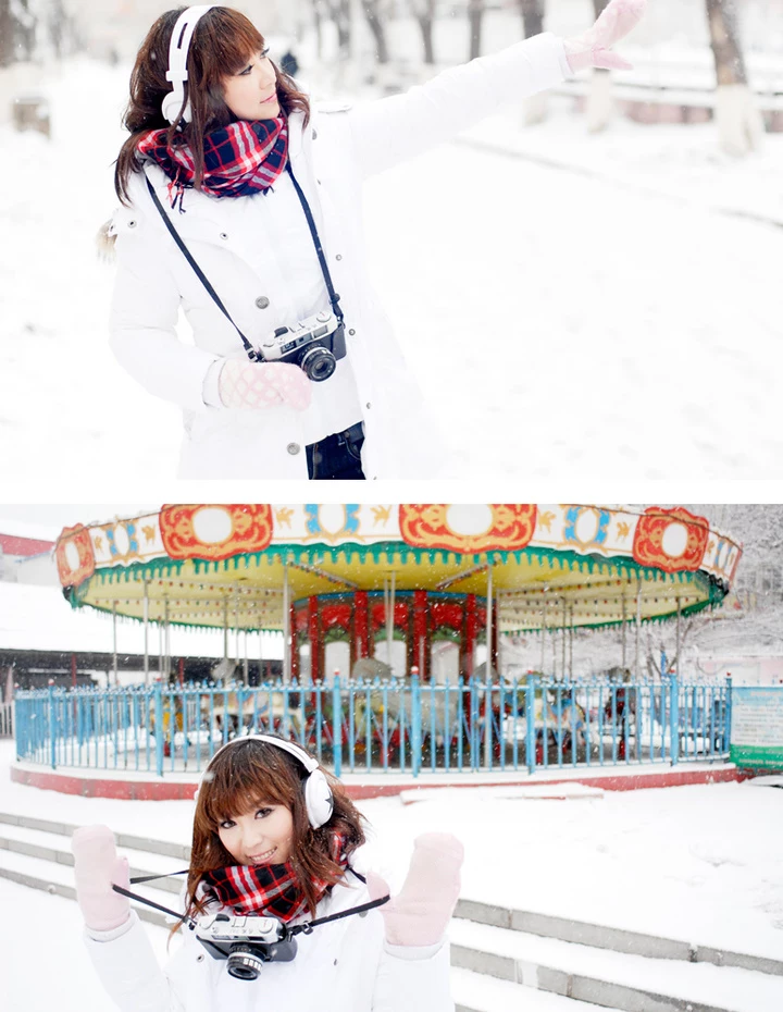 17365219.webp
