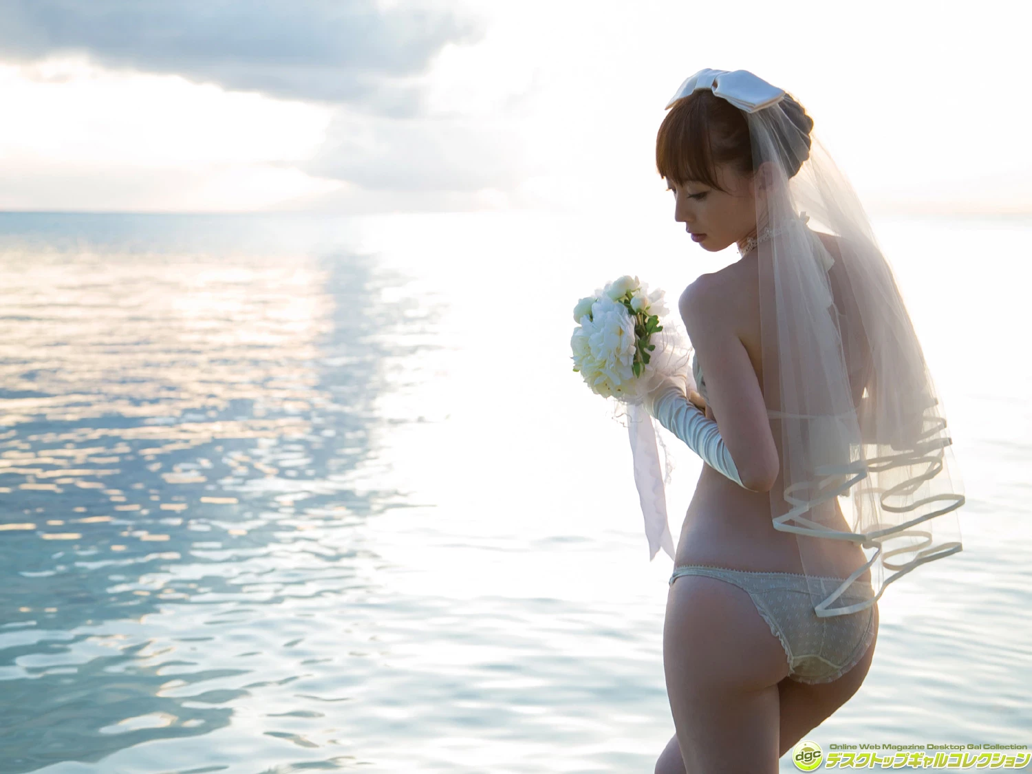 29334184.webp
