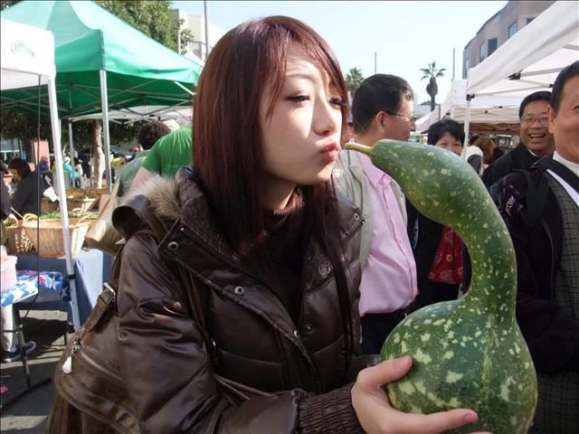 17911590.webp