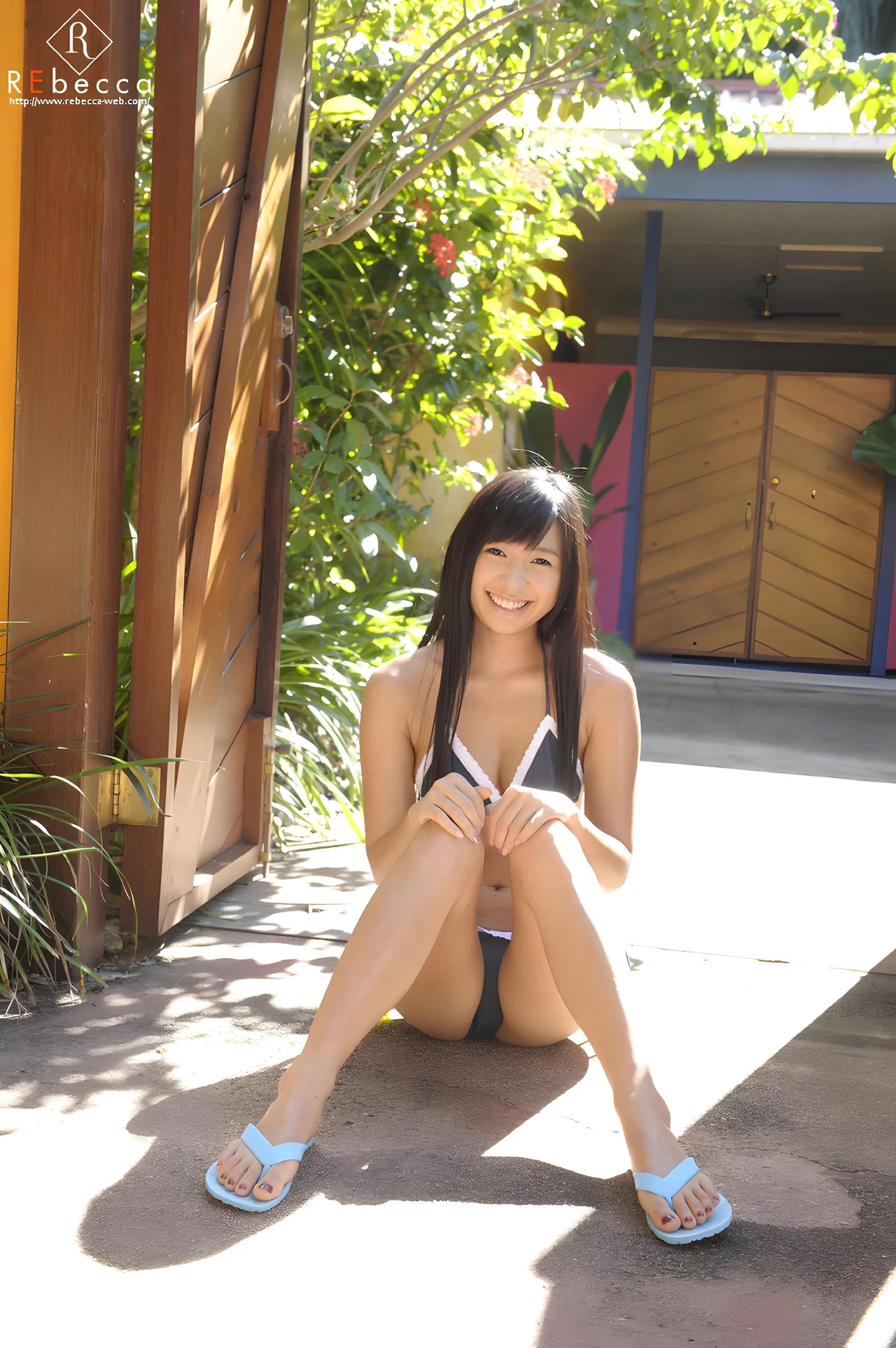 29185151.webp