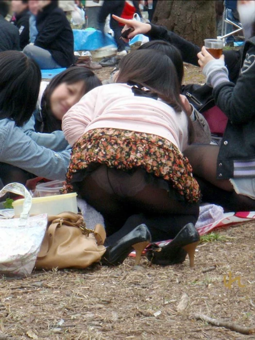 17523203.webp