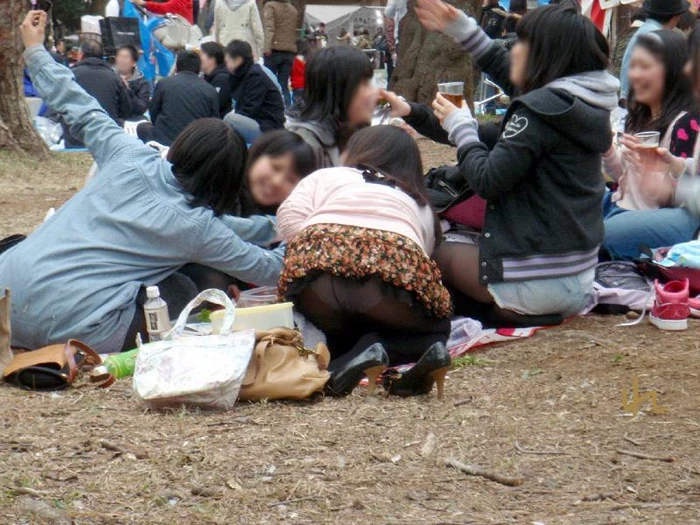 17523227.webp