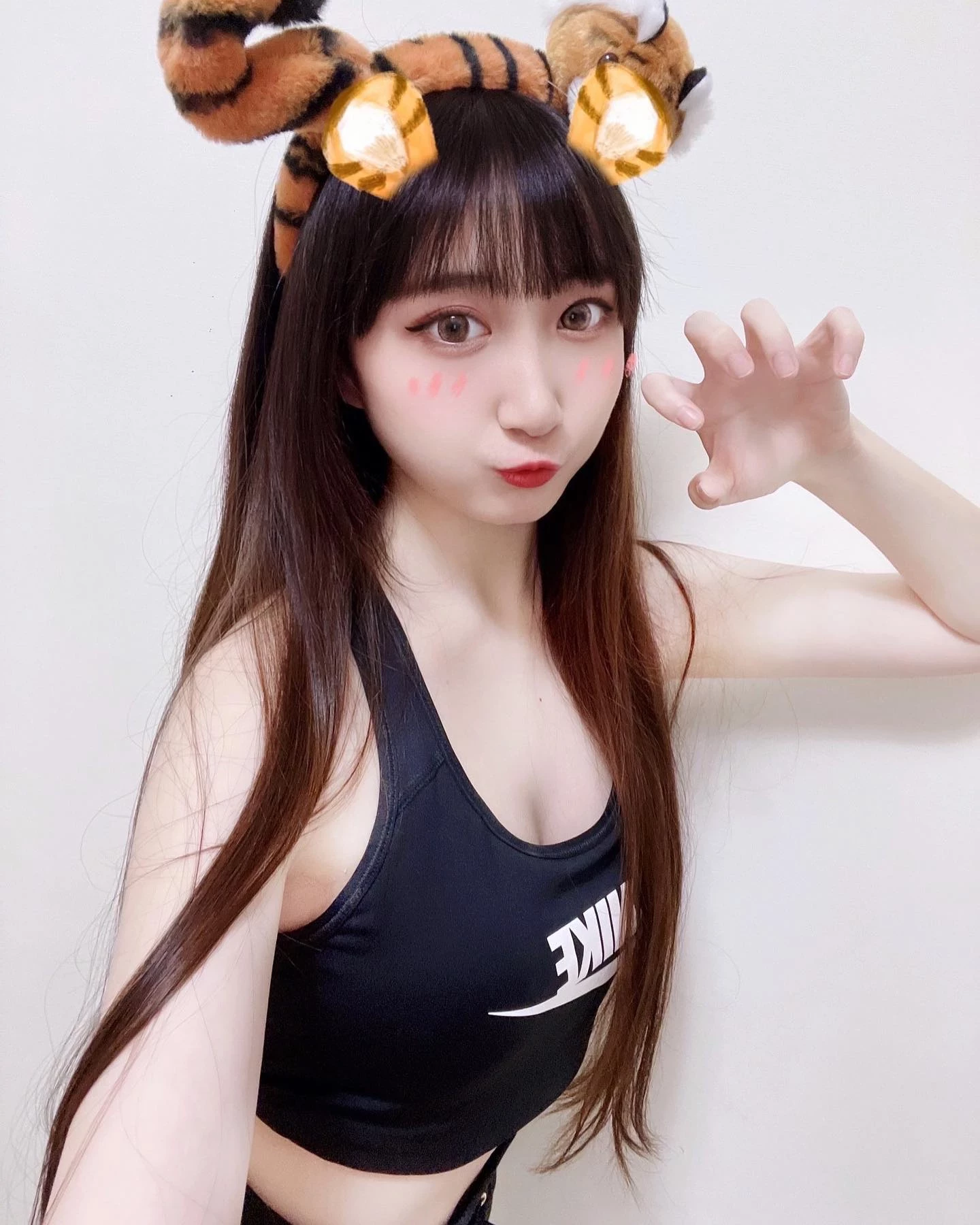 19707494.webp