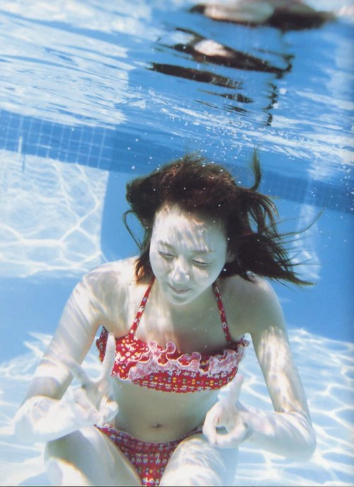 17799796.webp