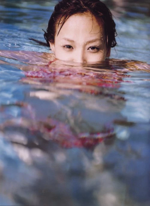 17799798.webp