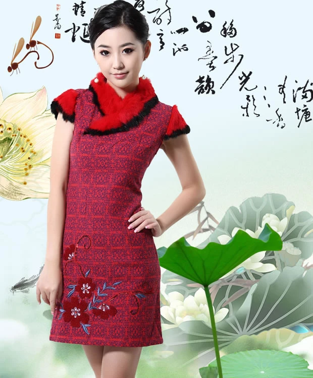 17835529.webp