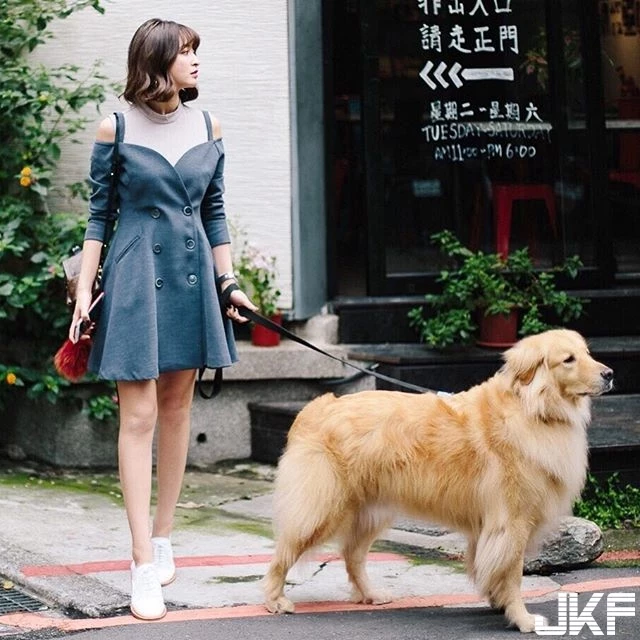 5012593.webp