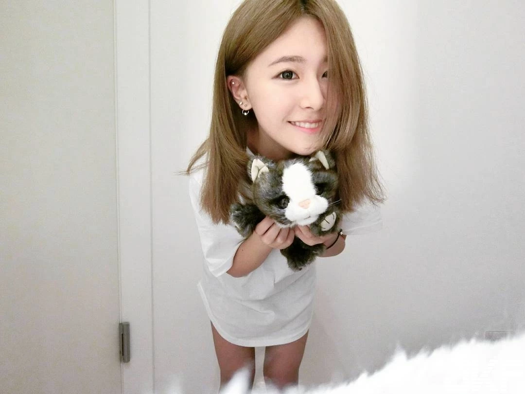 16818546.webp