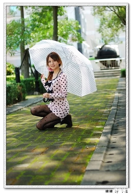 17269304.webp