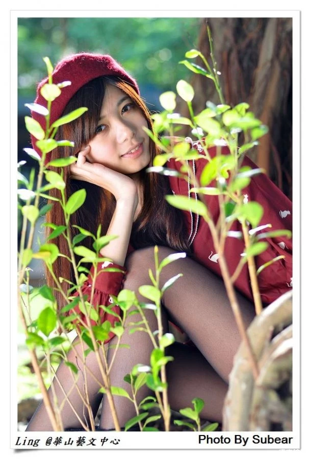 17365002.webp