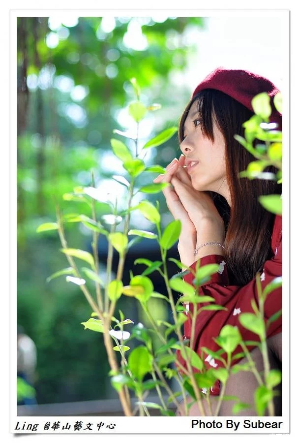 17365004.webp