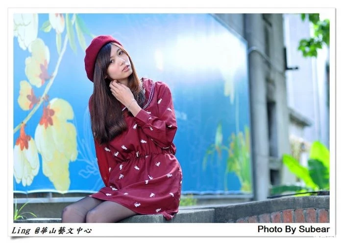 17365006.webp