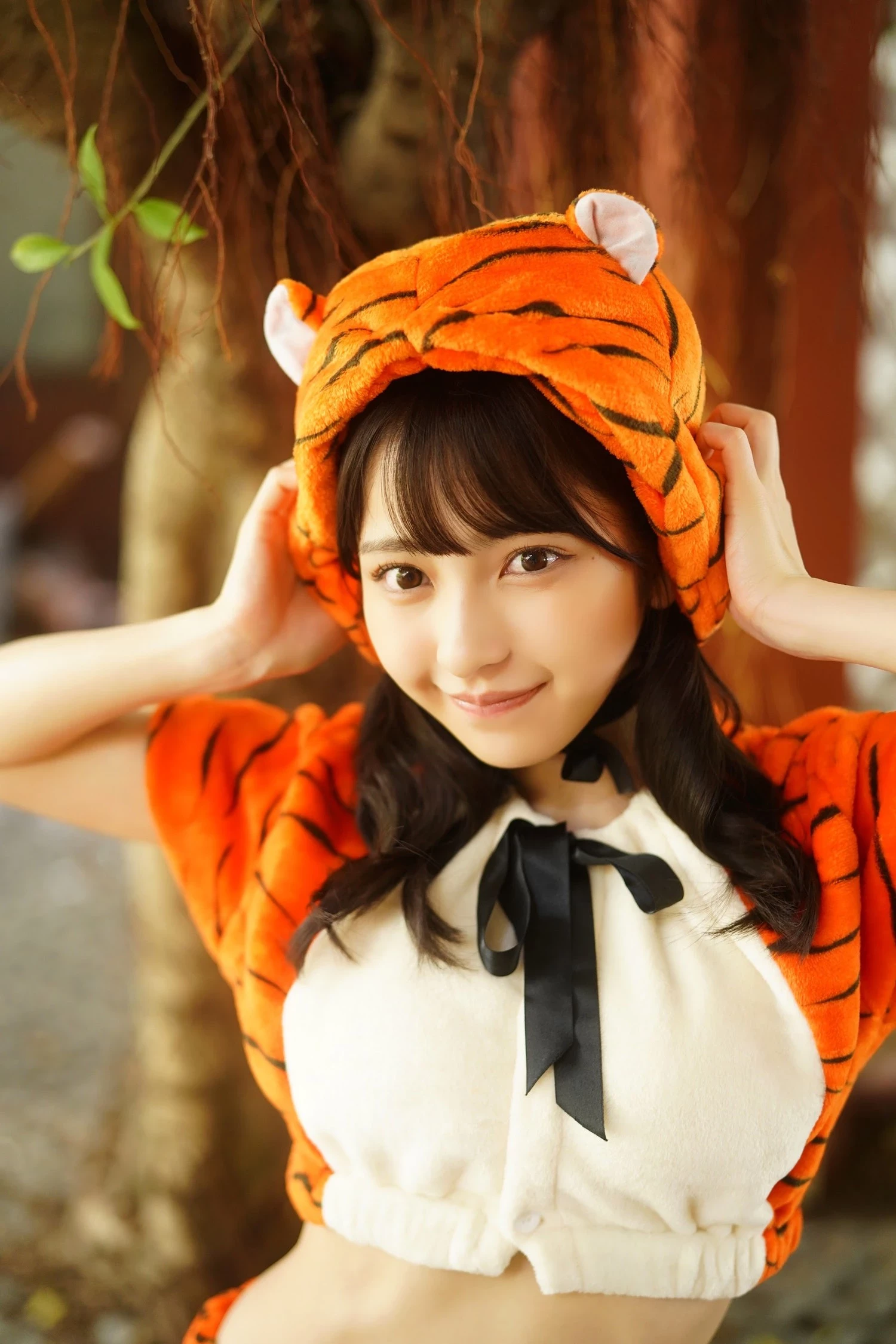 29167688.webp