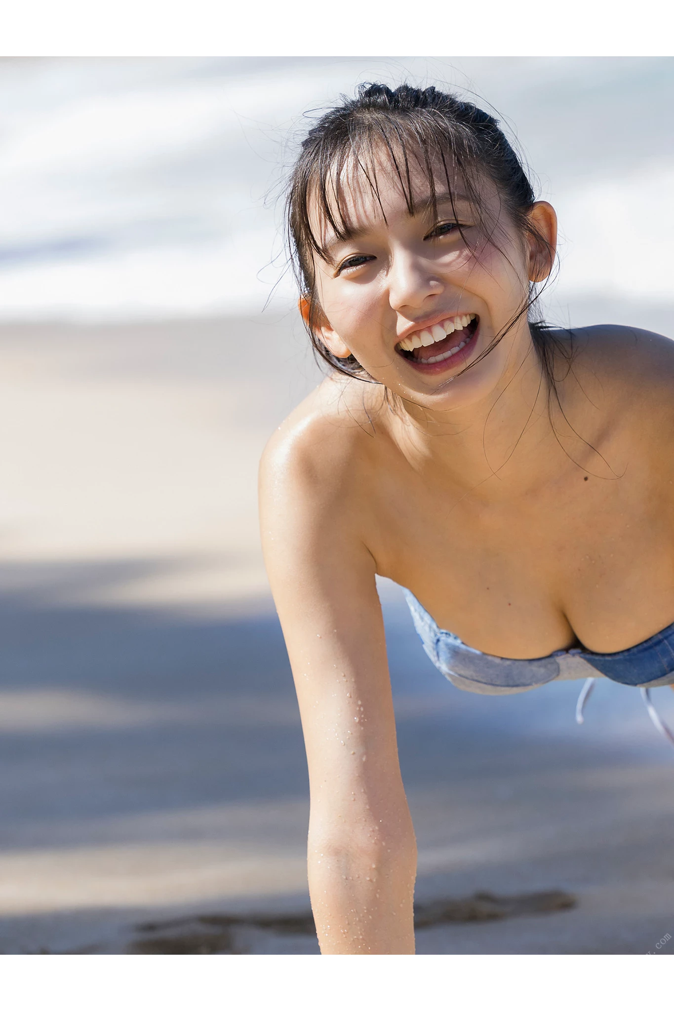 29167011.webp